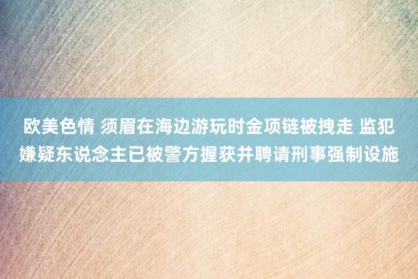 欧美色情 须眉在海边游玩时金项链被拽走 监犯嫌疑东说念主已被警方握获并聘请刑事强制设施