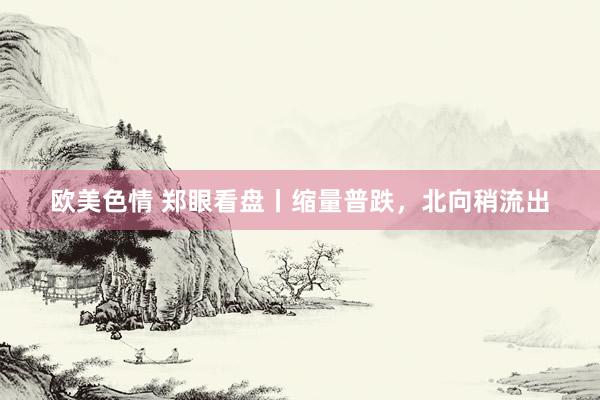 欧美色情 郑眼看盘丨缩量普跌，北向稍流出