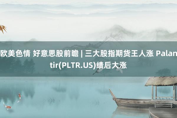 欧美色情 好意思股前瞻 | 三大股指期货王人涨 Palantir(PLTR.US)绩后大涨