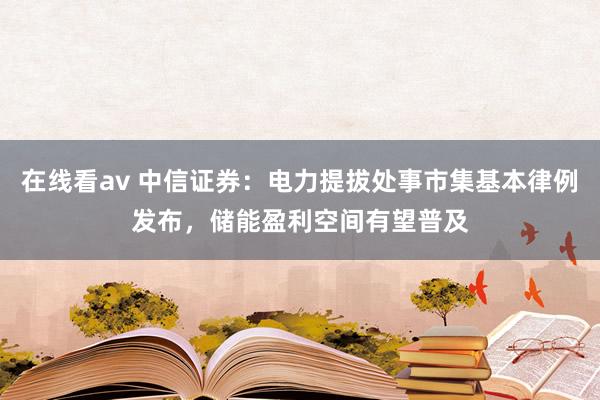 在线看av 中信证券：电力提拔处事市集基本律例发布，储能盈利空间有望普及