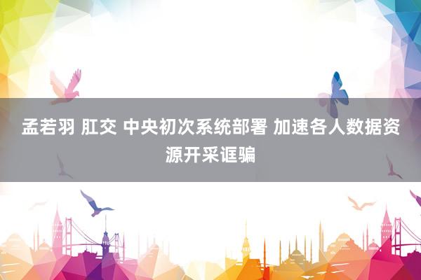 孟若羽 肛交 中央初次系统部署 加速各人数据资源开采诓骗