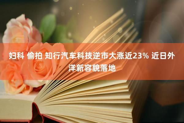 妇科 偷拍 知行汽车科技逆市大涨近23% 近日外洋新容貌落地