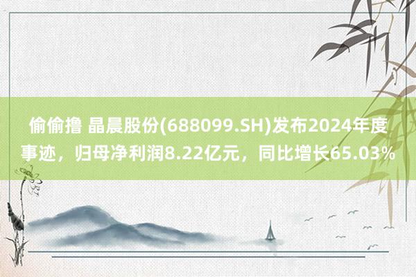 偷偷撸 晶晨股份(688099.SH)发布2024年度事迹，归母净利润8.22亿元，同比增长65.03%